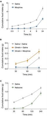 Regulation of body weight and food intake by AGRP neurons during opioid dependence and abstinence in mice